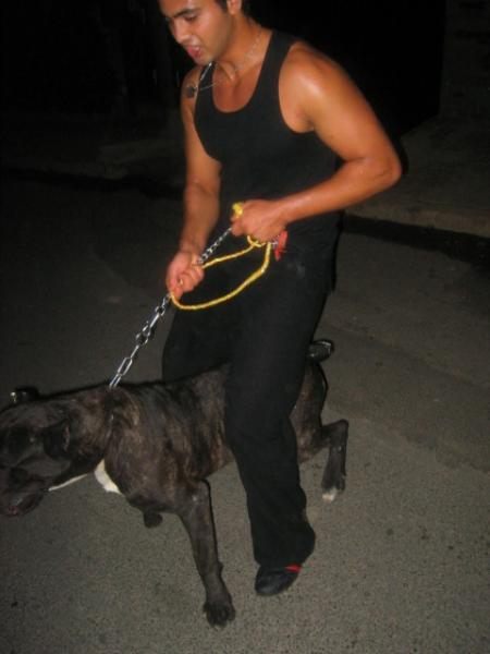 mon ami (rocky)